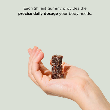 Shilabites - Authentic Shilajit Gummies